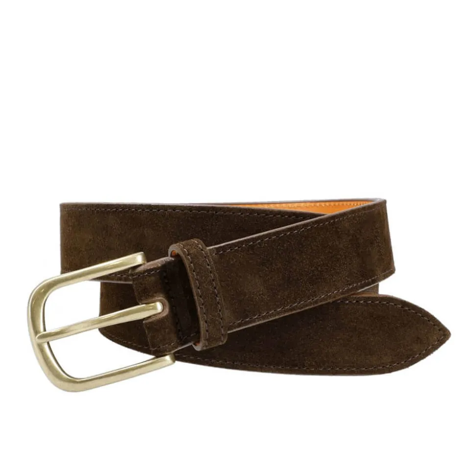 Men's Belts|Carmina REPELLO BELT BROWN