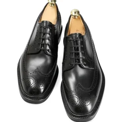 Longwing Derby|Carmina LONGWING DERBY SHOES LIMITED EDITION 532 DETROIT MILITARY